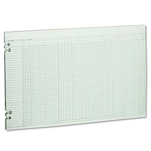 Wilson Jones G5030 Accounting Sheets, 30 Columns, 11 x 17, Green Pack of 100 Loose Sheets