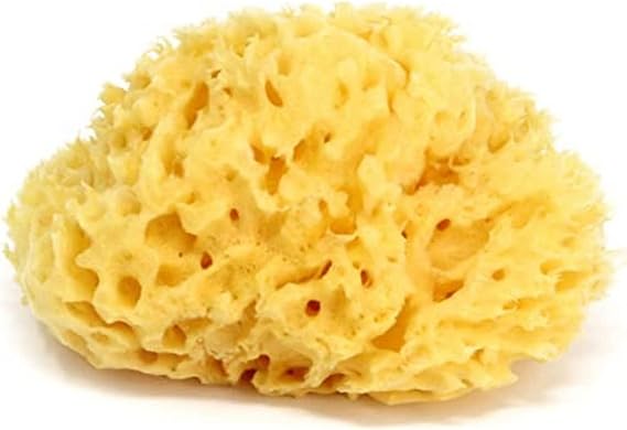 Okbaby Natural Bath Sponge No.10, Small