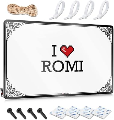 Funny Metal Tin Sign for Bar I Love Romi Tin Sign Tin Sign Funny Funny Office Signs Color : Colour, Size : 30X40CM