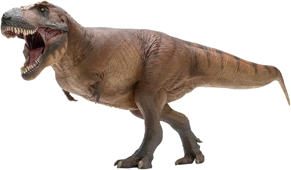 PNSO Dinosaur Museums Series: Cameron the Tyrannosaurus Rex