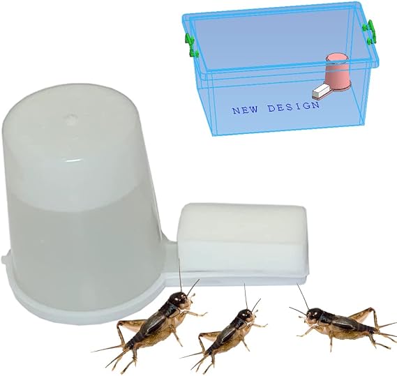 Auto Cricket Feeder & Keeper - Tube & Cup Feeding, Water Bottle & Crystals for Breeding