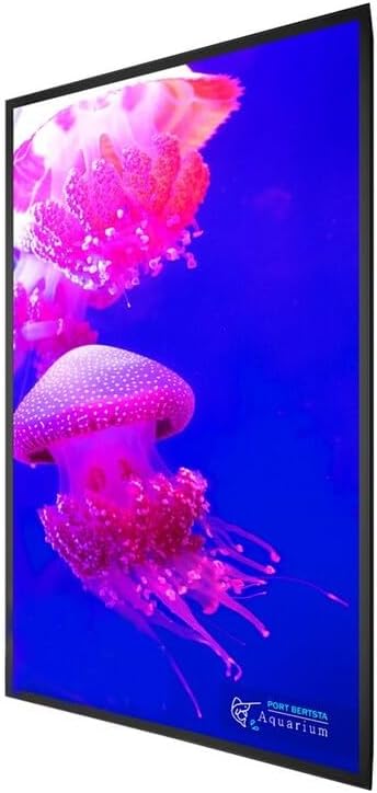 Planar 998-2164-00 85 in. Planar URX75 4K Ultra HD LED-LCD Display