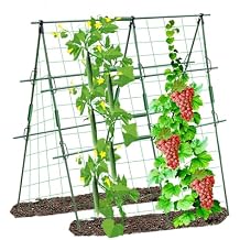 Foldable Cucumber Trellis for Garden - Adjustable Climbing Support for Vegetables, Vining Plants, Cucumbers, Tomatoes, and Peas - Heavy Duty, Weather-Resistant, Easy to Install