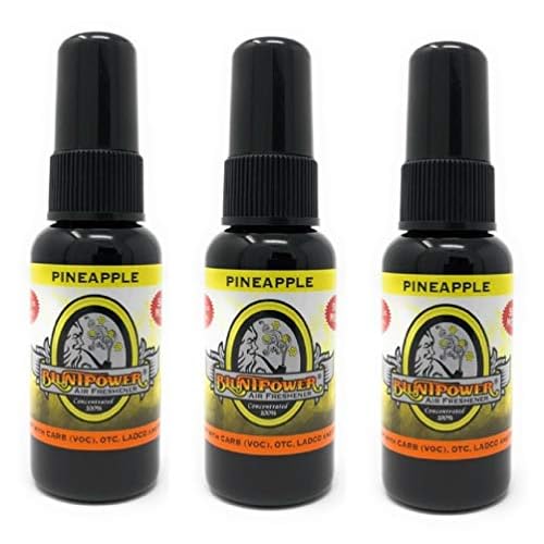Bluntpower 1 Ounce Bottle Oil Based Air Freshener Oil for Burner Pineapple 3-pack