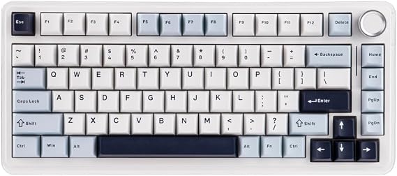 Mechanical Keyboard EA75 75% US QWERTZ Layout Hot Swap Seal Wired 2.4GHz Wireless RGB Backlit Compatible with 5420(Blue)