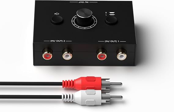 Dingsun Bi-Directional 2-Way RCA Stereo Audio Switch Audio Signal Source Switcher Selector Splitter Box for DVD/Blu-ray Players etc. (2 Input-1 Output /1 Input-2 Output)