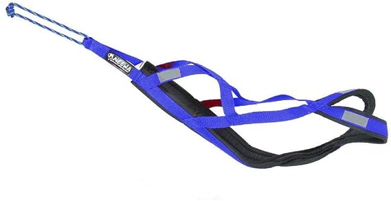 Neewa Pro Sled Dog Harness (Blue, X-Large (Neck 20 Chest 34 Back 23))