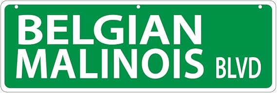 Imagine This Belgian Malinois Street Sign