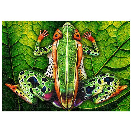 1000 Piece Jigsaw Puzzle, Johannes Stotter Illusion Art - Frog