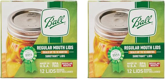 Ball Regular Mouth Mason Glass Jar Lids (24-Count), Silver