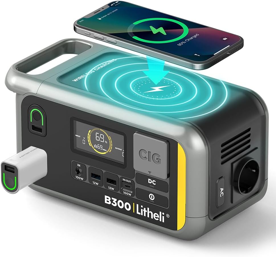 Litheli Portable Power Station B300 336Wh Power Generator with Pure Sine Wave AC Output, 100W PD Fast Charging Solar Generator with AC/DC/USB for Camping, Gardening, Caravanning, Parties, Emergencies