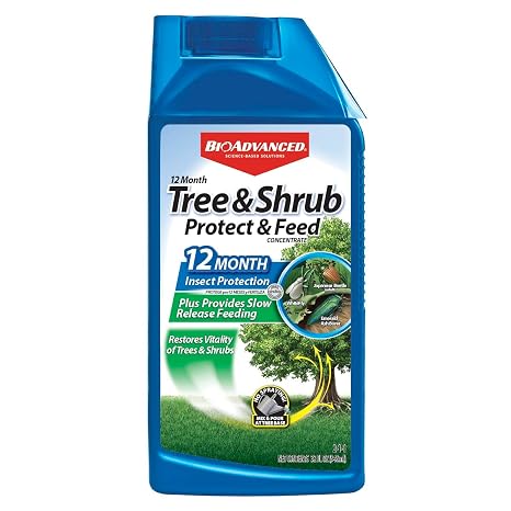 BioAdvanced 12 Month Tree & Shrub Protect and Feed Concentrate - 32 oz