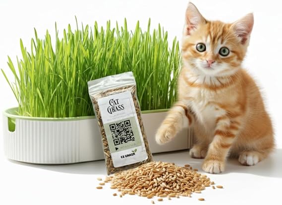 Hydroponic Cat Grass Grow Kit for Indoor Cats - Cat Lover Gift - New Pet Present - Grow Container and 2 Oz Cat Grass Non-GMO Seeds - No Soil or Tools Needed - Modern Look - Loved by Pets