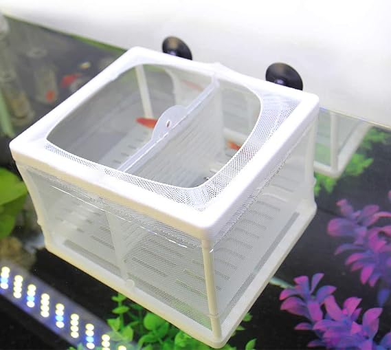 Aquarium Fish Breeder Box Fish Fry Hatchery Incubator Net Nylon Isolation Mesh with 3pcs Pipette(Small)