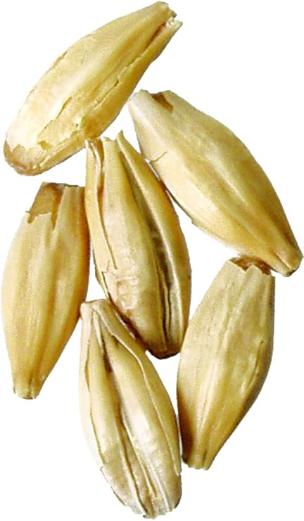 Malt - CaraFoam - 5 lb (Pack of 6)