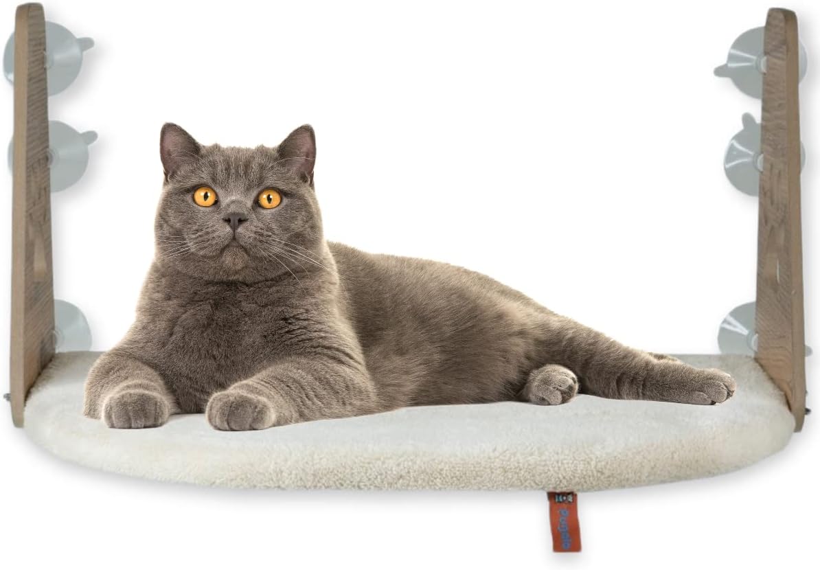 PUGALO Glass Bed Cat Glass Bed with Suction Cup Pugalo Suction Cup Bed Cream