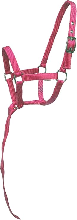 Nylon Foal Halter with Detachable 13" Catch
