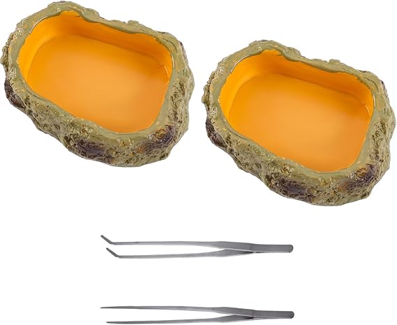 4pcs Reptile Growth Reptile Water Dish Food Bowl Set Includes 2 Food Feeder Bowl Resin 2 Feeding Tweezer Tong for Pet Tortoise Lizard Frog Gecko Snake Chameleon (A21-2)