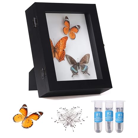 IHEIPYE Insect Display Case Bug Display Case Shadow Box Small Black