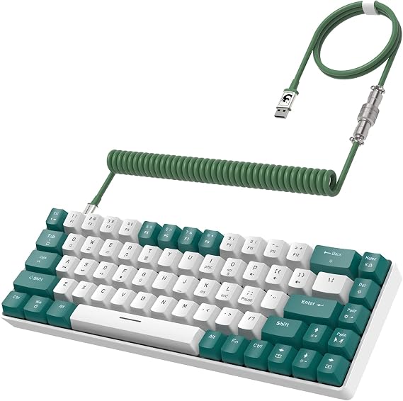 ZIYOU LANG RK-T8 Wired 65% Mechanical Gaming Keyboard with RGB LED Backlight Anti-Ghost TKL Mini 68 Keys Custom Coil C to A Cable Tactile Blue Switch for PS4 PS5 Xbox PC Mac Gamer Green/White