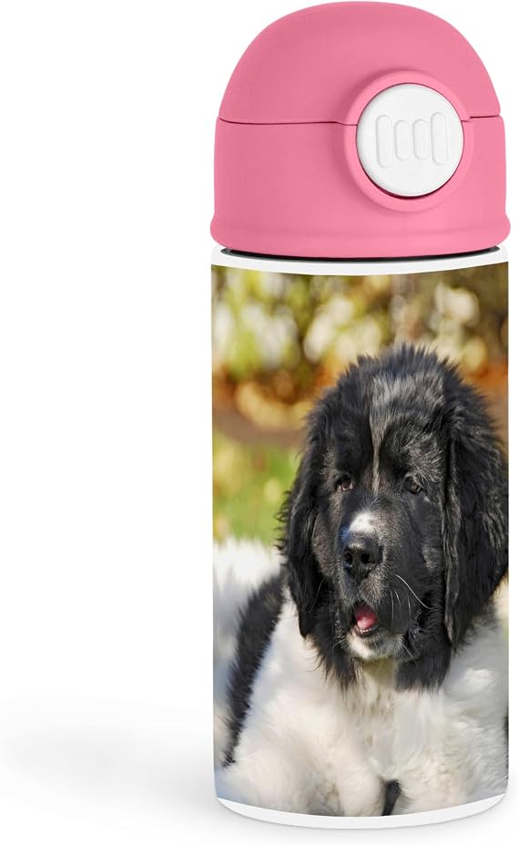 Sweet Dog Lover 12oz Kids Pink Bottle Cute Landseer Newfoundland puppy on a pink background Daily Hydration, Pet Playdates