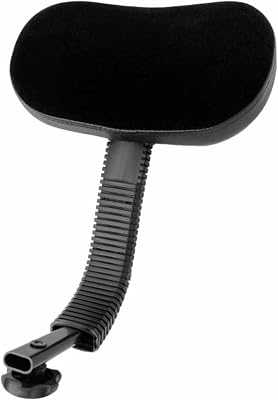 Ahead Spinal-G Gas Throne Backrest