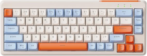 M68 65% Wireless Gaming Keyboard,Bluetooth/2.4GHz/ Wired Tri-Mode Silent Membrane Keyboard,PBT Keycaps,2000mAH Rechargeable,67 Keys Rainbow LED Backlit PC Gaming Keyboard for Win/Mac-Blueberry