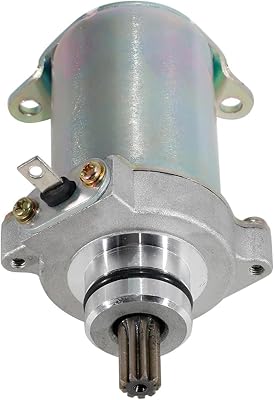 Motorcycle Starter Motor Compatible with T-VS StR-YKER 125 Max 125 NEO NX 110 Part Number :N4060080 R1060060 Starter Motor Accessories