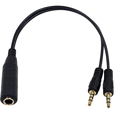 Duttek 6.35mm to 3.5mm Headphone Jack Adapter Cable, Gold-plated 2x 3.5mm 1/8 Inch Male Jack Socket to 6.35mm 1/4 Inch Female Plug Mono Audio Y Splitter Cable 25CM/10 Inch