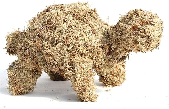 Small Turtle Topiary Form Filled with Sphagnum Moss - 10 INCHES Long, Large