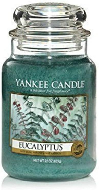 Yankee Candle Eucalyptus Large Jar Candle, 22-Ounce by Yankee Candle Company