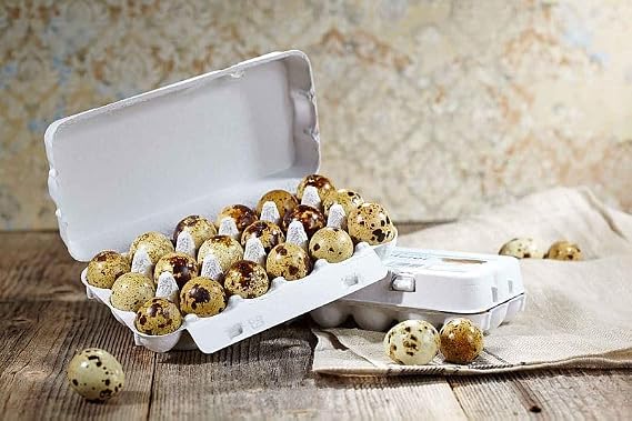Delikatess Quail Eggs Eggs Pack of 18 Eggs from Your Own Yard