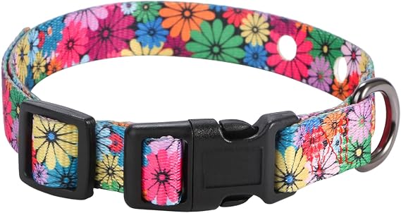 3/4 Inch Replacement Collar Strap Shock Collar with 2 Holes, Compatible with Nearly All Brands and Models of Underground Electric Dog Fences and Training Collars, Floral Pattern