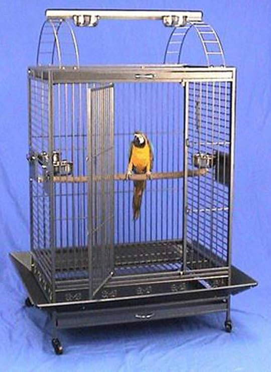 XX-Large Playtop Wrought Iron Parrot Bird Cage - 40 X 30 X 73H, 4 Colors Available (BlackVein)