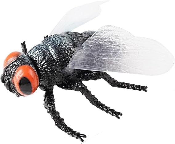 Large Fly Figurine Hollow Realistic Insect Bug Model Toy for Kids Educational Bug Toy for Science Class and Display