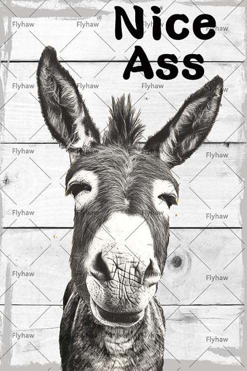 Funny Donkey Bathroom Decor Vintage Nice Ass Quotes Metal Tin Sign Donkey Bathroom Sign Gifts For Donkey Lovers House Bathroom Toilet 8x12 Inch