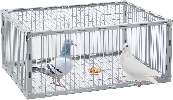 Pigeon Trap with Escape-Proof Design,Pigeon Cage with One-Way Entry,Ideal Pigeons Coop,Chicken and Bird Trap Cage,Portable & Easy Assembly,Unharmful Made of High-Strength Iron with Anti-Rust Paint