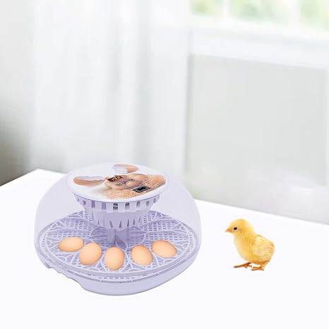 Egg Incubator, 12 Eggs Automatic Incubators with Egg Turning and Temperature Control, 360 Degree View for Hatching Chicken Quail Turkey Pigeon, Easy to Use and Clean