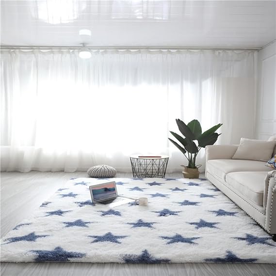 Area Rugs for Bedroom Living Room, Fluffy Shag Shaggy Carpet Soft Plush Furry Bedside Rug, Machine Washable Area Rugs for Kids Girls Boys Home Decor Anti Slip (D,50 * 200cm)