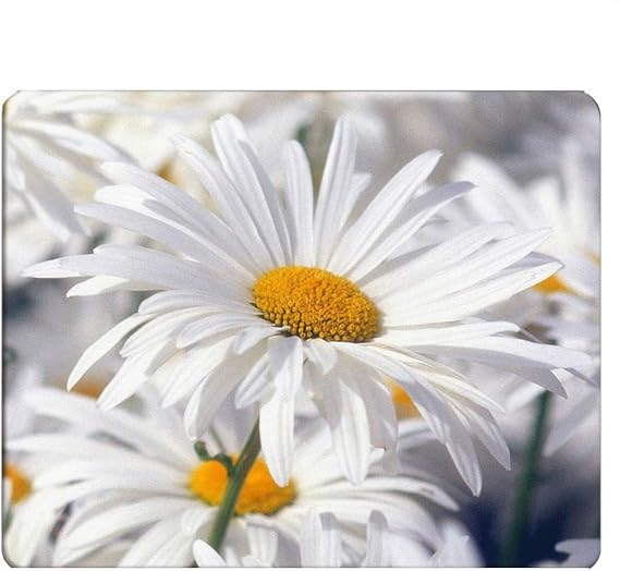 Daisy Gaming Mousepad White Pure Daisy Flower Mouse Pad Mouse Mat for Computer Desk Laptop Office 9.5 X 7.9 Inch Non-Slip Rubber
