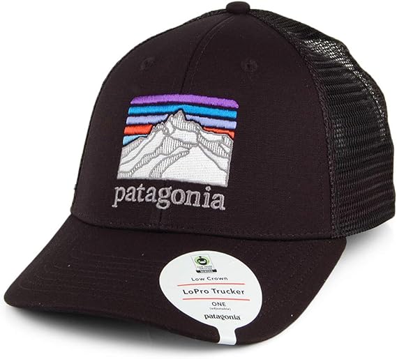 Patagonia Line Logo Ridge LoPro Trucker Hat (Black)