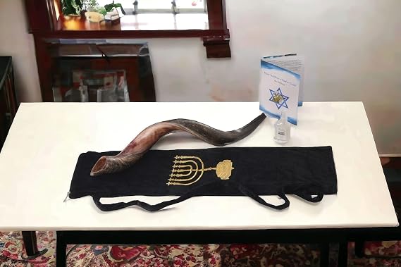 Yaliland Shofar Horn Musical Instrument - Kosher Kudu Ram Horns from Israel - Includes Bag, Book Guide, Anti-Odor Spray, 3 Brushes - Use for Religious Ceremonies - 28"-30", Half Polished-Half Natural