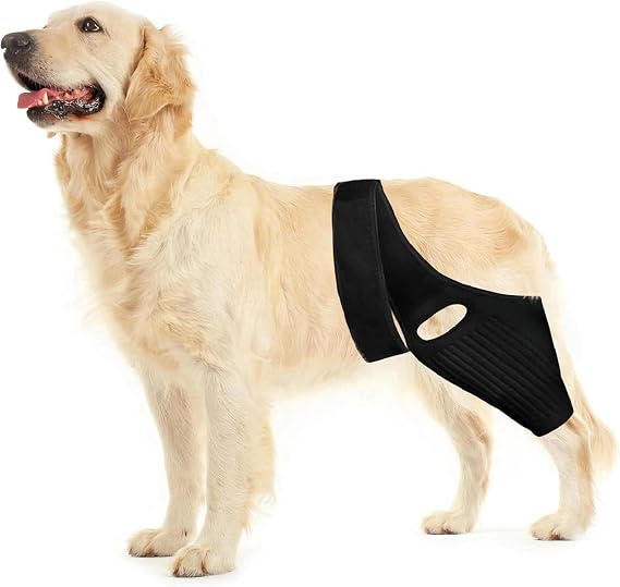 Dog Knee Brace, Dog ACL Brace for Front Torn and Back Hind Rear Legs ACL Tear, Dog Hip Knee Leg Brace for Hip Dysplasia, Dog Arthritis, Luxating Patella,