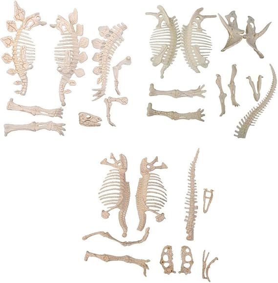 NUOLUX 3Pcs 4D Dinosaur Fossil Skeleton Toys DIY for Kids Fossil Skeleton Figure