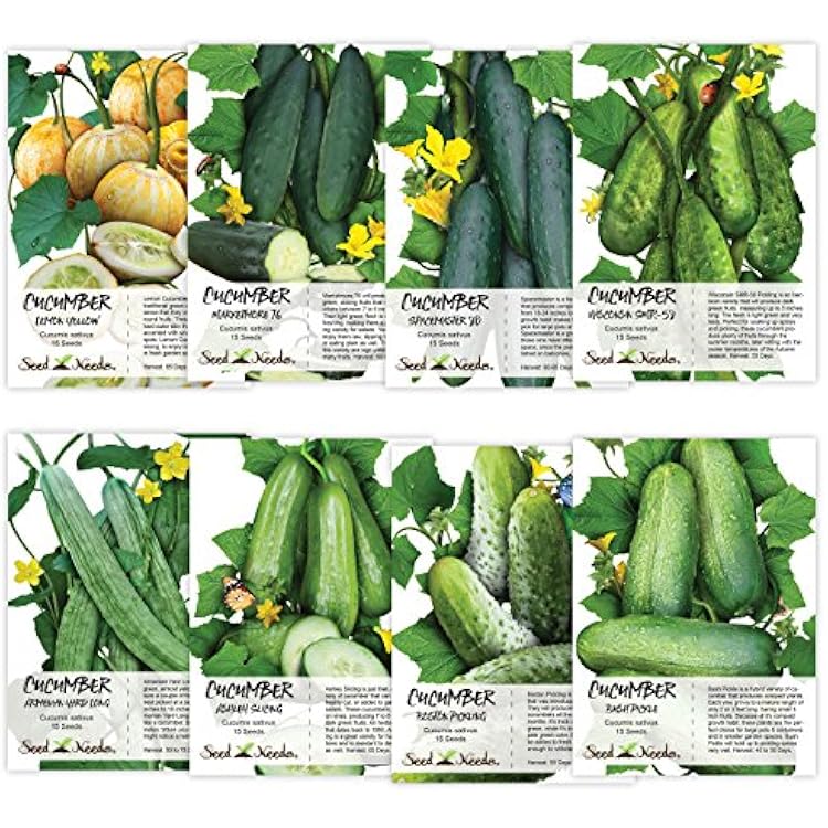 Seed Needs, Cucumber Seed Collection 8 Individual Packets Non-GMO