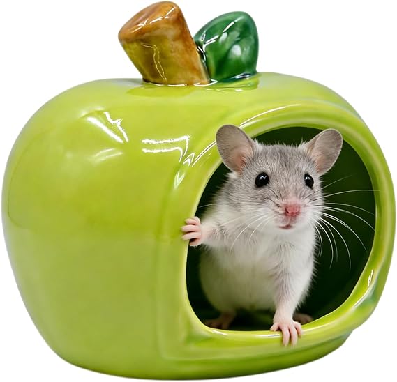 Ceramic Hamster Hideout, Green Apple-Shaped | Cooling Hamster House, for Dwarf Syrian Hamsters, Mice, Gerbils, Chinchillas, Lemmings, Pet Habitat Cage Decoration