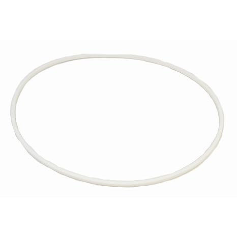 Blackmer 382201 Seal Ring Head for SNP3A