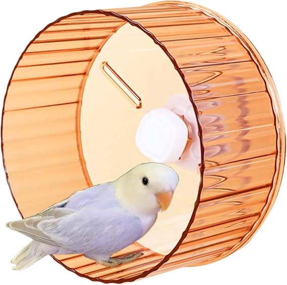 Bird Wheel Toy, Silent Parrot Exercise Wheel Interactive Rotating Toy for Small Medium Birds - Parakeets Cockatiels Conures Lovebirds Finches - Bird Cage Enrichment Accessory (S (6.7''D),Orange)