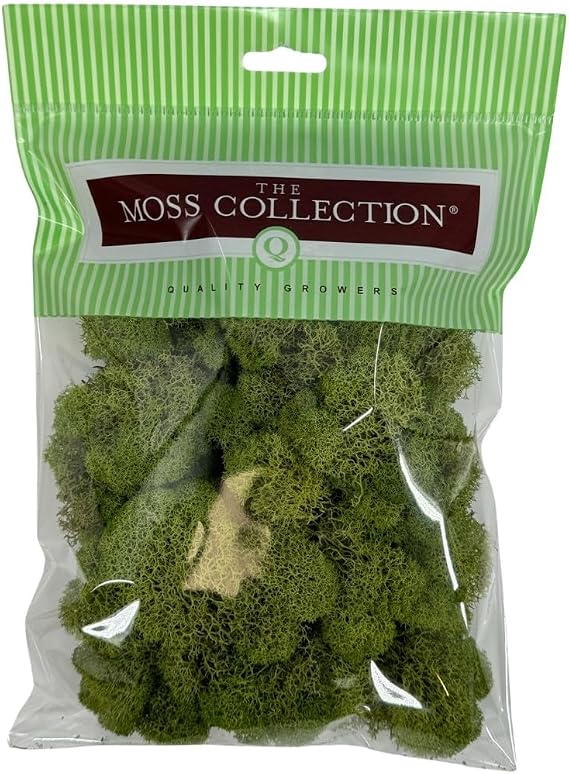 Reindeer Moss, Preserved Moss, Spring Green, Small 1-Pack