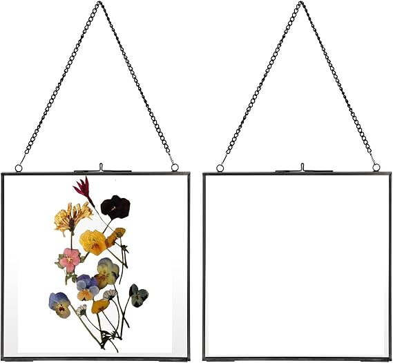 JUXYES 16x16 cm Wall Hanging Double Glass Brass Frame for Pressed Flowers